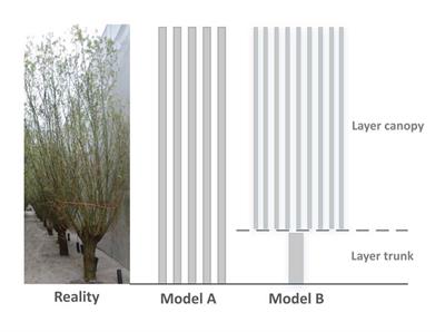Quantifying Frontal-Surface Area of Woody Vegetation: A Crucial Parameter for Wave Attenuation